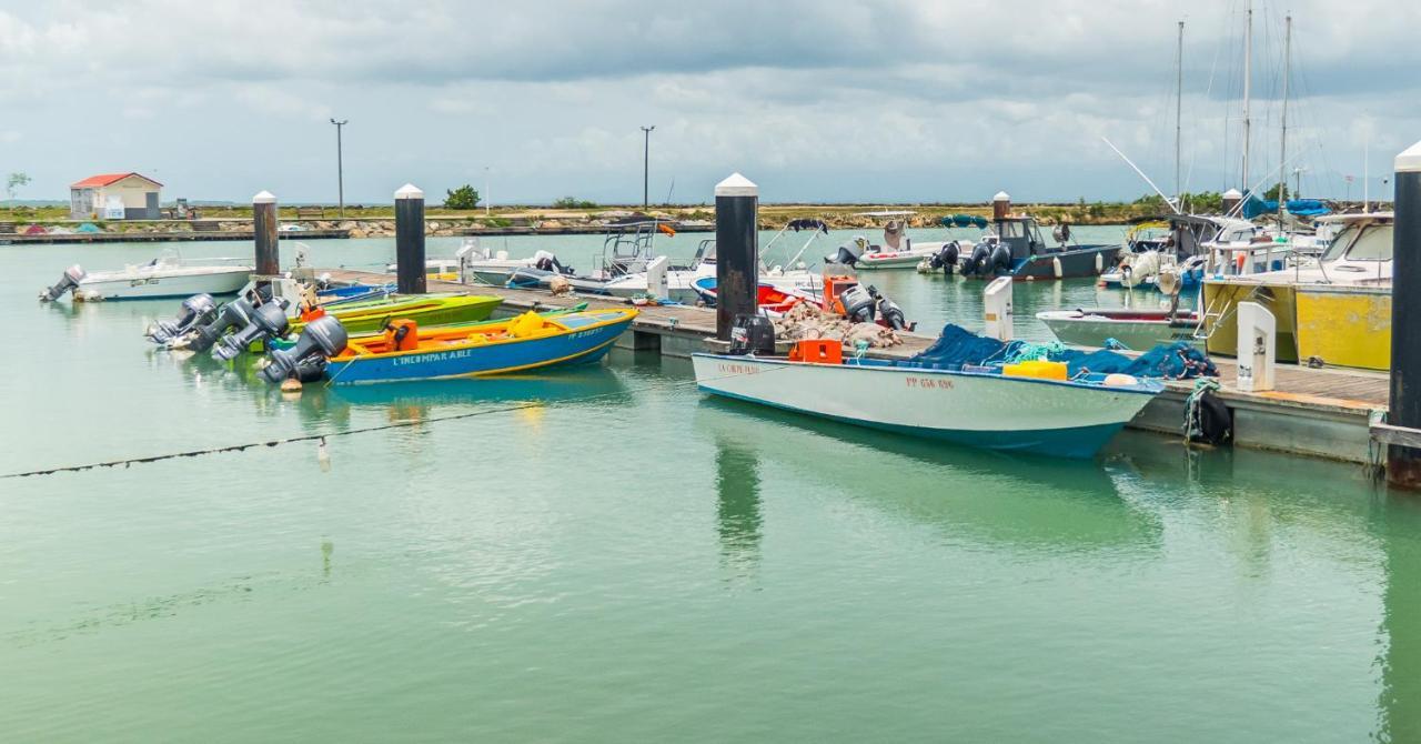 Evasion En Plein Coeur De La Ville T2 Jacuzzis Sauna Et Piscine Au Centre De Port-Louis Esterno foto